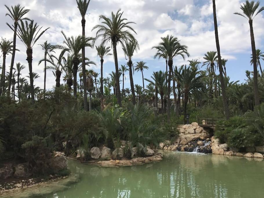 Carpediem Apart Terraza-Atico Alicante Center المظهر الخارجي الصورة