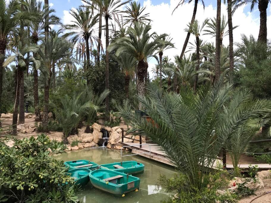 Carpediem Apart Terraza-Atico Alicante Center المظهر الخارجي الصورة